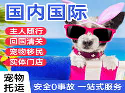 扬州泰州机场快运国际宠物托运 【国